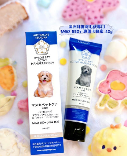 DAYDAYCARE X PET PET STUDIO復活節毛孩限定套裝