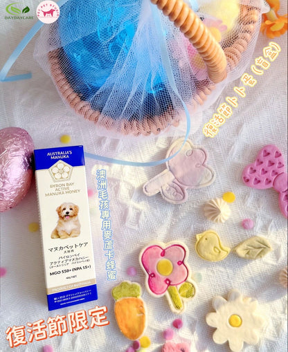 DAYDAYCARE X PET PET STUDIO復活節毛孩限定套裝